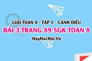 Giải bài 3 trang 89 Toán 8 Tập 1 SGK Cánh Diều